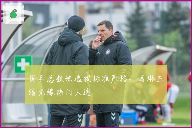 国乒总教练选拔标准严格，马琳王皓无缘热门人选